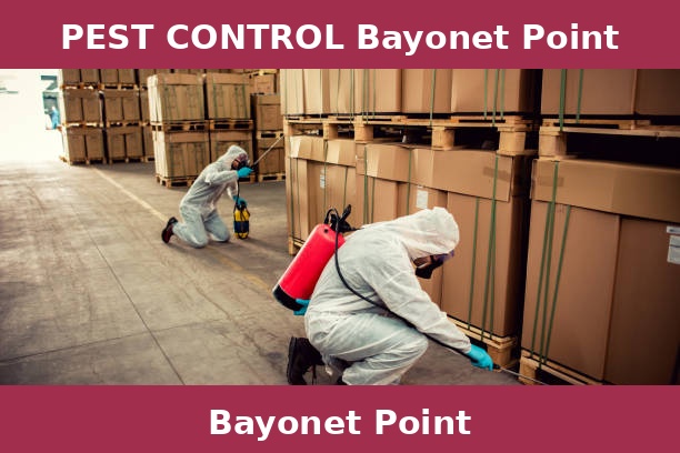 PEST CONTROL Bayonet Point